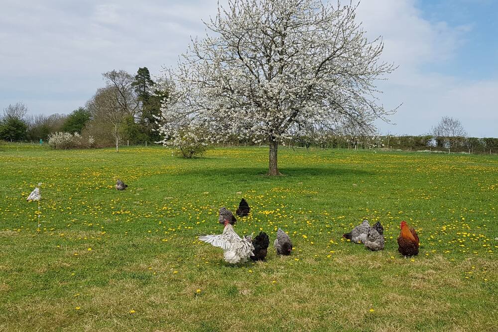 Photo of Outdoor in Lignieres-Orgeres