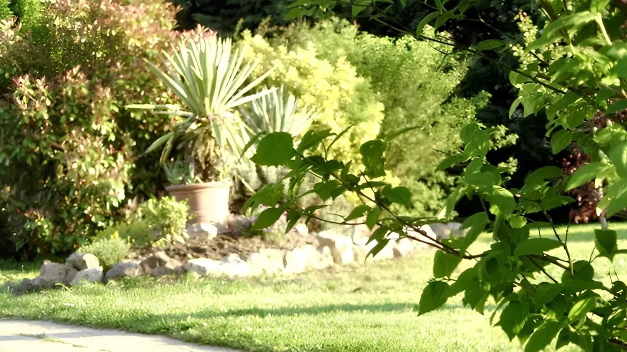 Photo of Outdoor in Ervauville