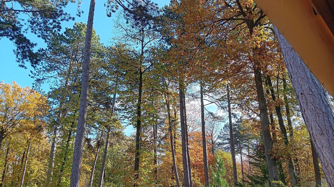 Photo of Outdoor in Saint-Cheron