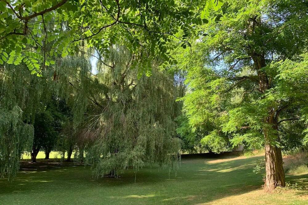 Photo of Outdoor in Ormoy-la-Riviere