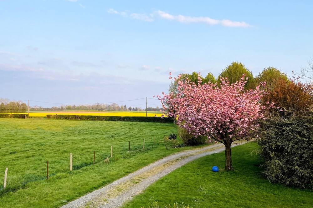 Photo of Outdoor in Capelle-les-Grands