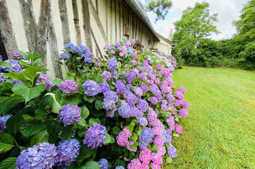 Photo of Outdoor in Capelle-les-Grands