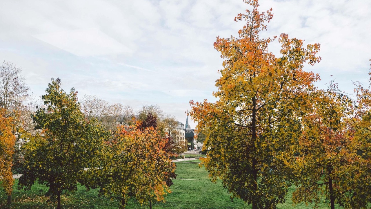 Photo of Others in Quartier Pasteur
