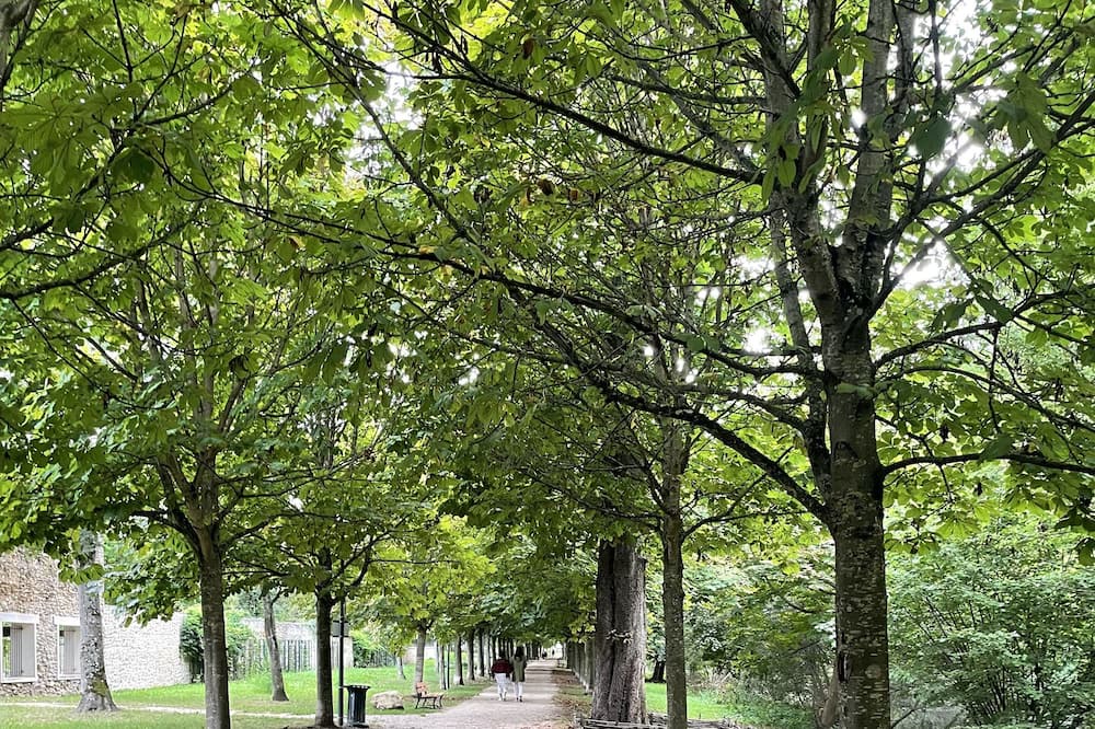 Photo of Outdoor in Ozoir-la-Ferriere