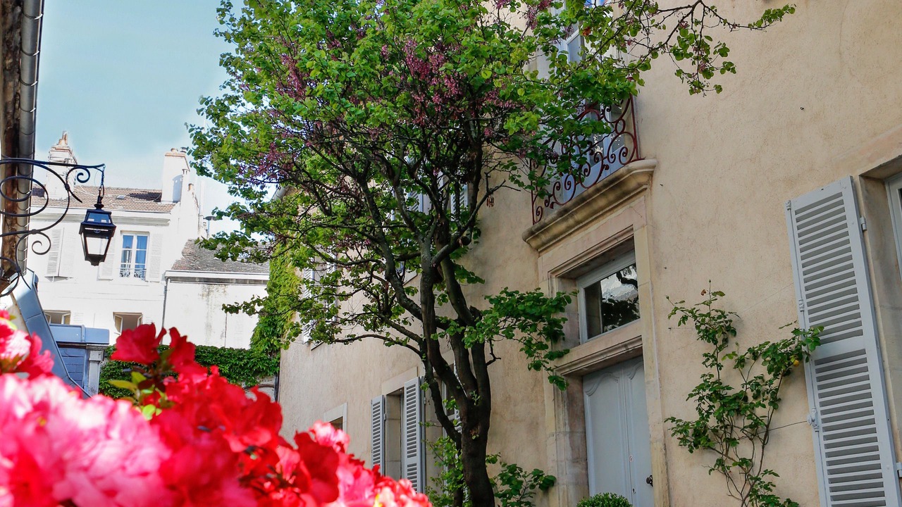 Photo of Outdoor in Centre Sud