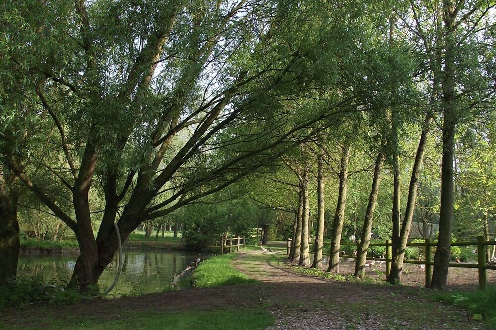 Photo of Outdoor in Quend