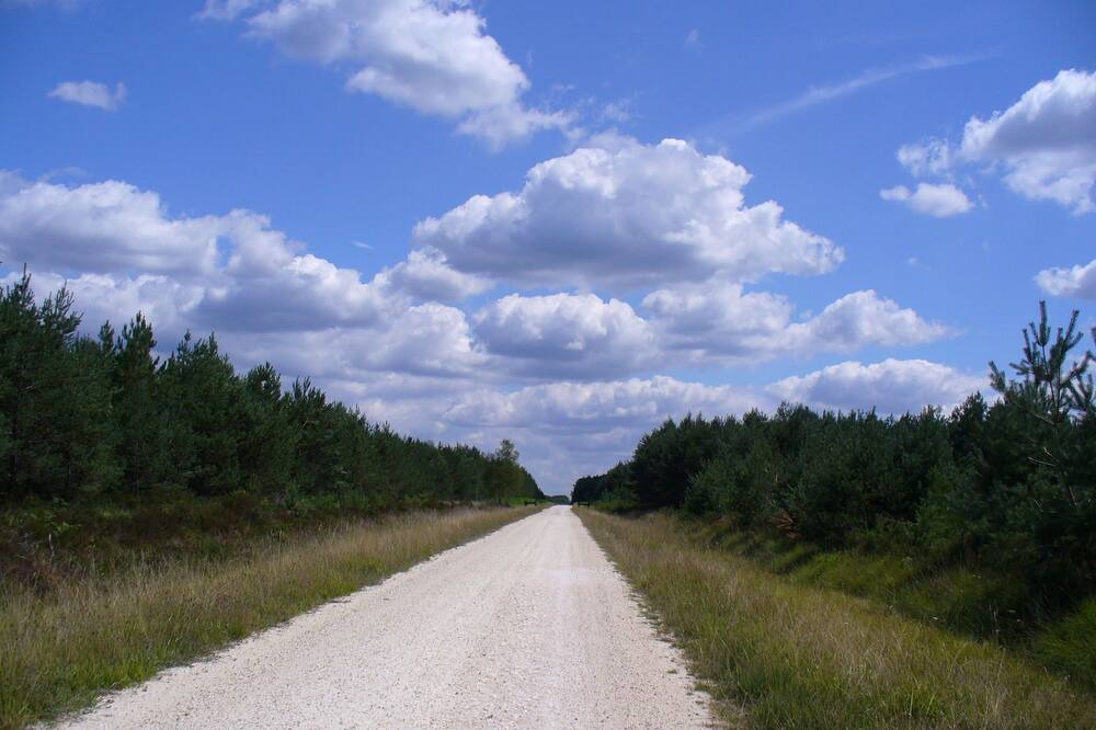 Photo of Others in Oussoy-en-Gatinais