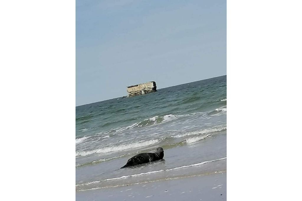 Photo of Others in Le Portel