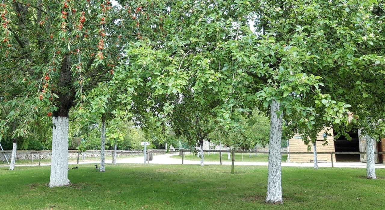 Photo of Outdoor in Autouillet