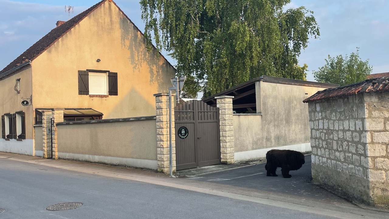 Photo of Outdoor in Athis