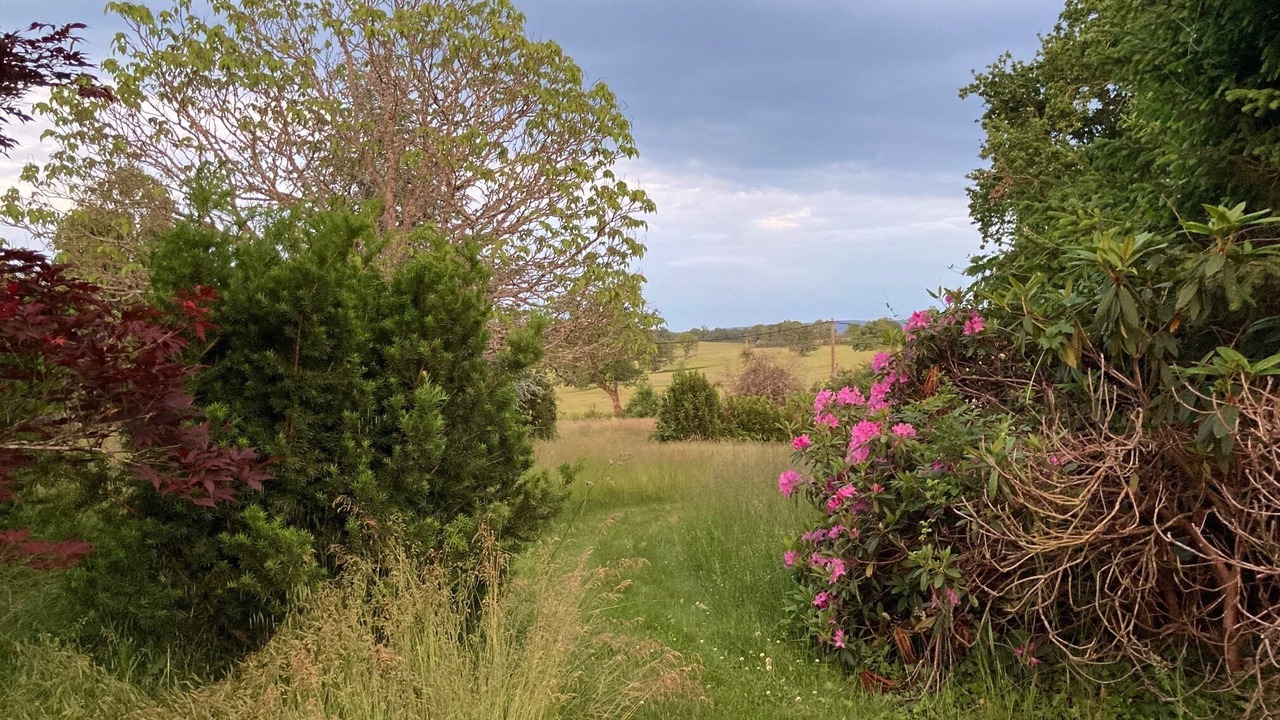 Photo of Outdoor in Thil-sur-Arroux