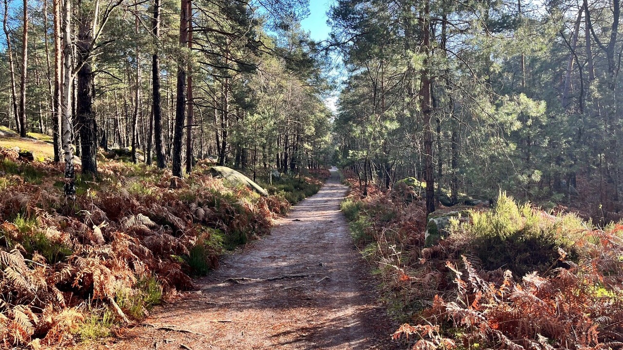 Photo of Outdoor in Barbizon