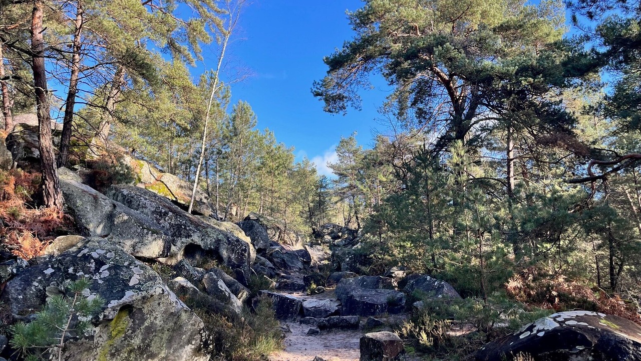 Photo of Outdoor in Barbizon