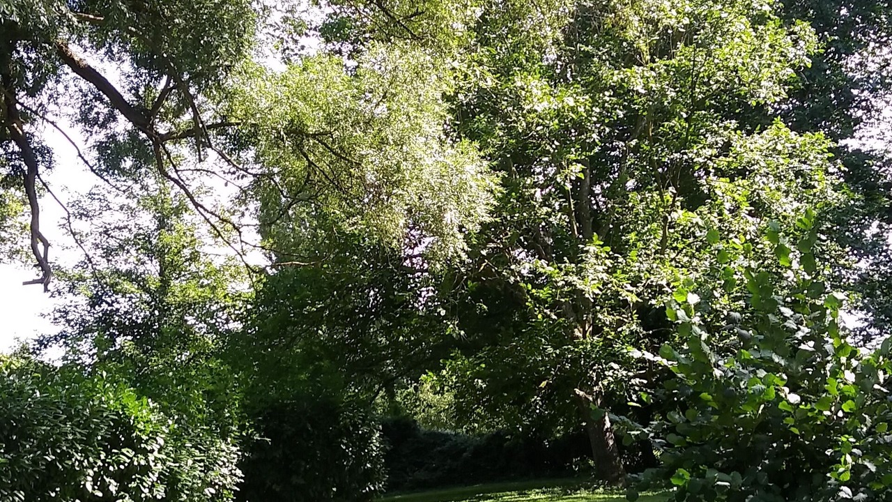 Photo of Outdoor in Saints