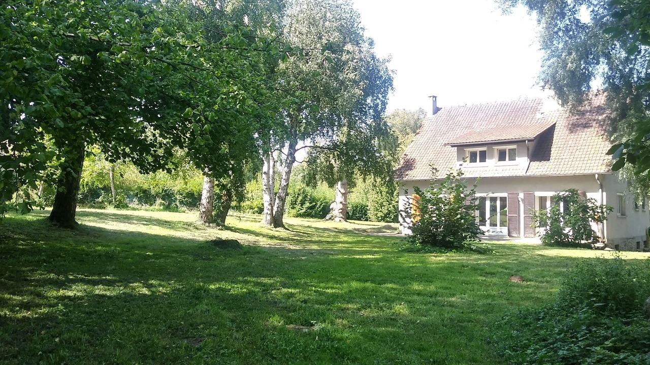 Photo of Outdoor in Saints