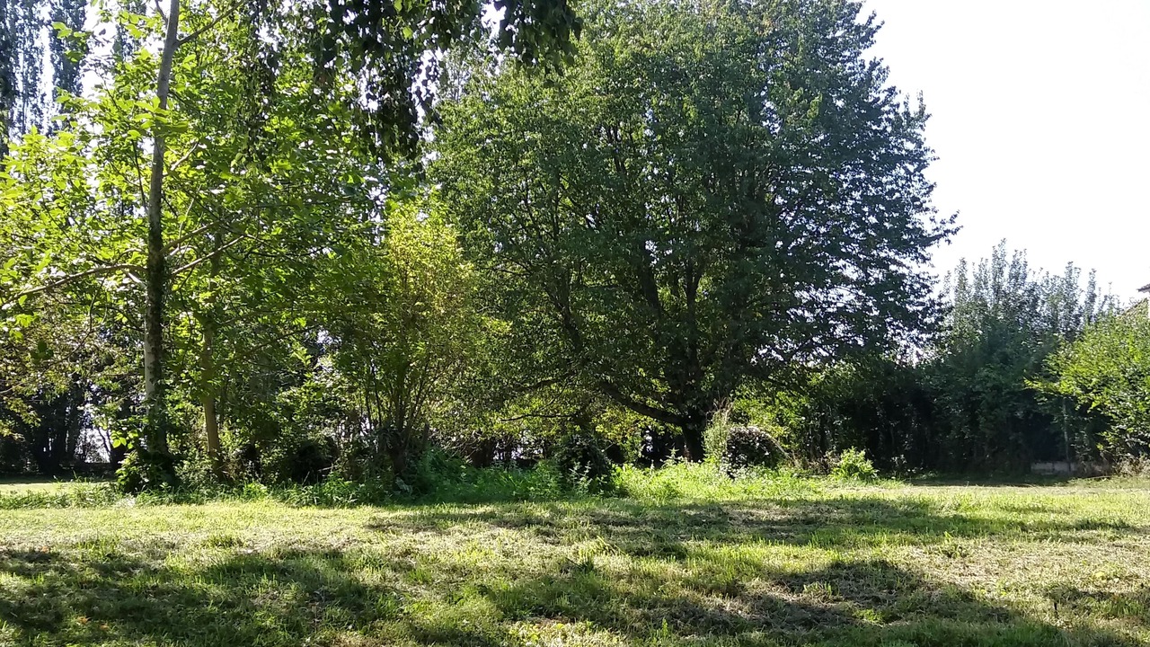 Photo of Outdoor in Saints