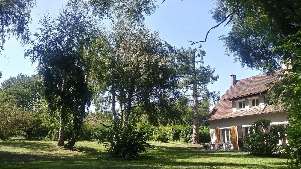 Photo of Outdoor in Saints