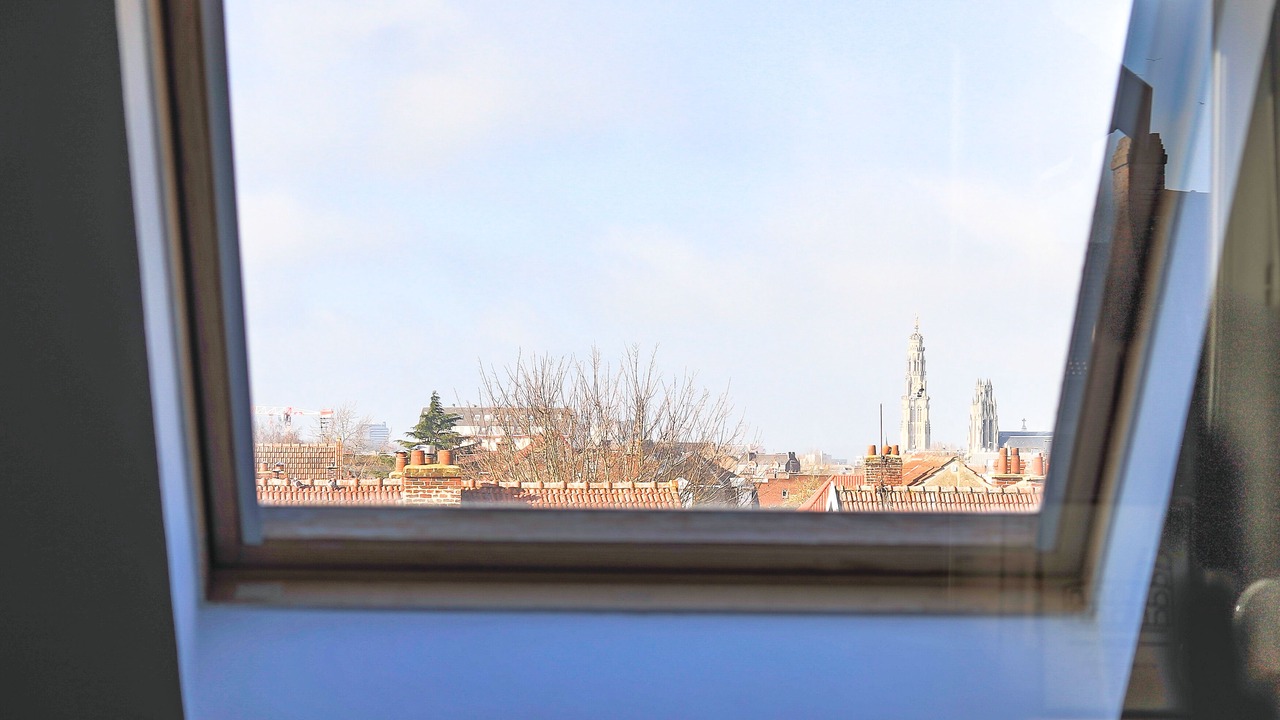Photo of Others in Arras