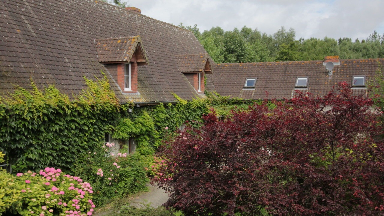 Photo of Outdoor in Quend