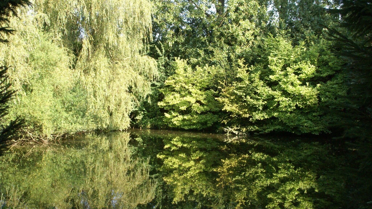 Photo of Others in Le Ponchel