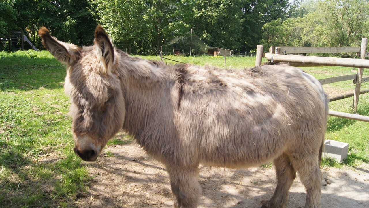 Photo of Outdoor in Blessy