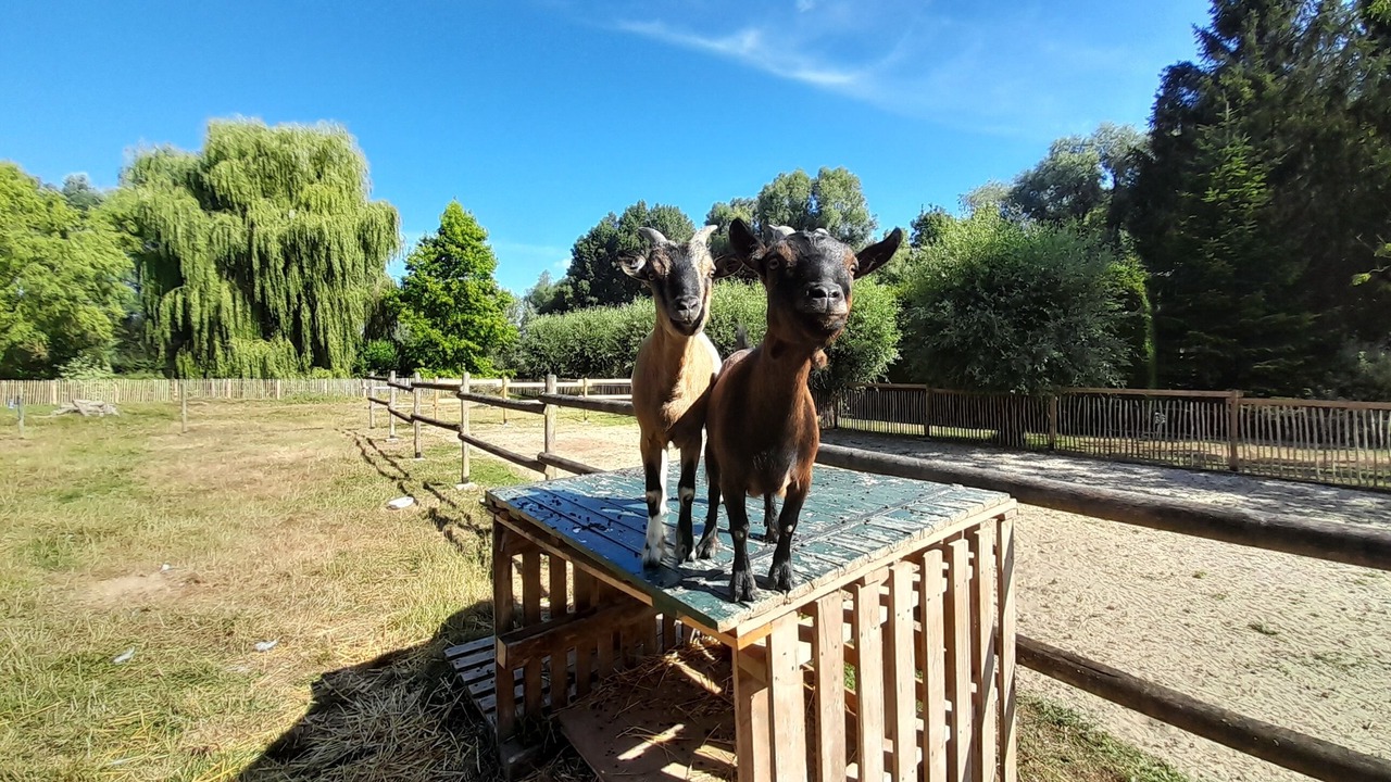 Photo of Outdoor in Blessy
