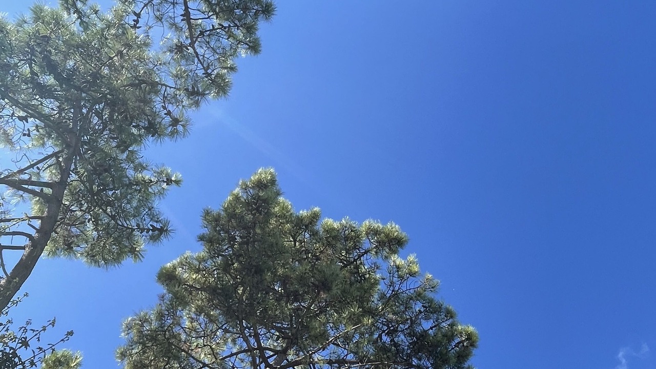 Photo of Outdoor in Camiers