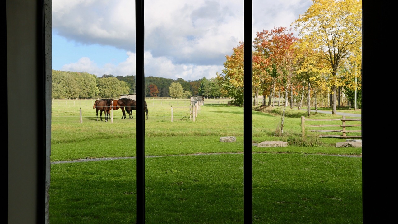 Photo of Others in Poigny la Foret