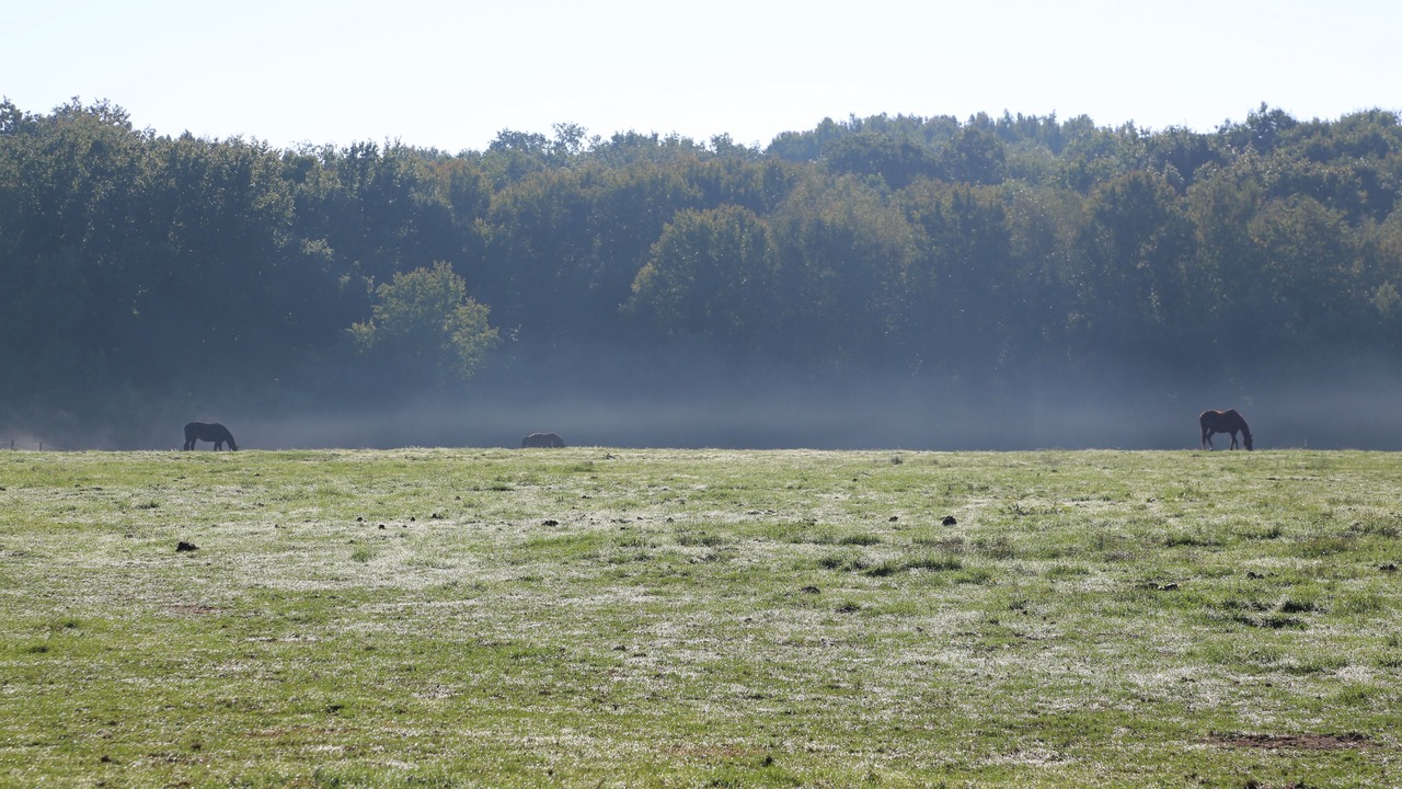 Photo of Others in Poigny la Foret
