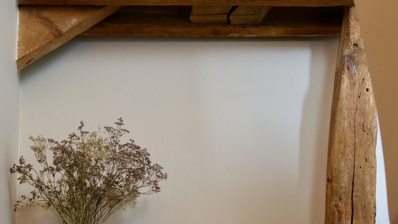 Photo of Others in Poigny la Foret