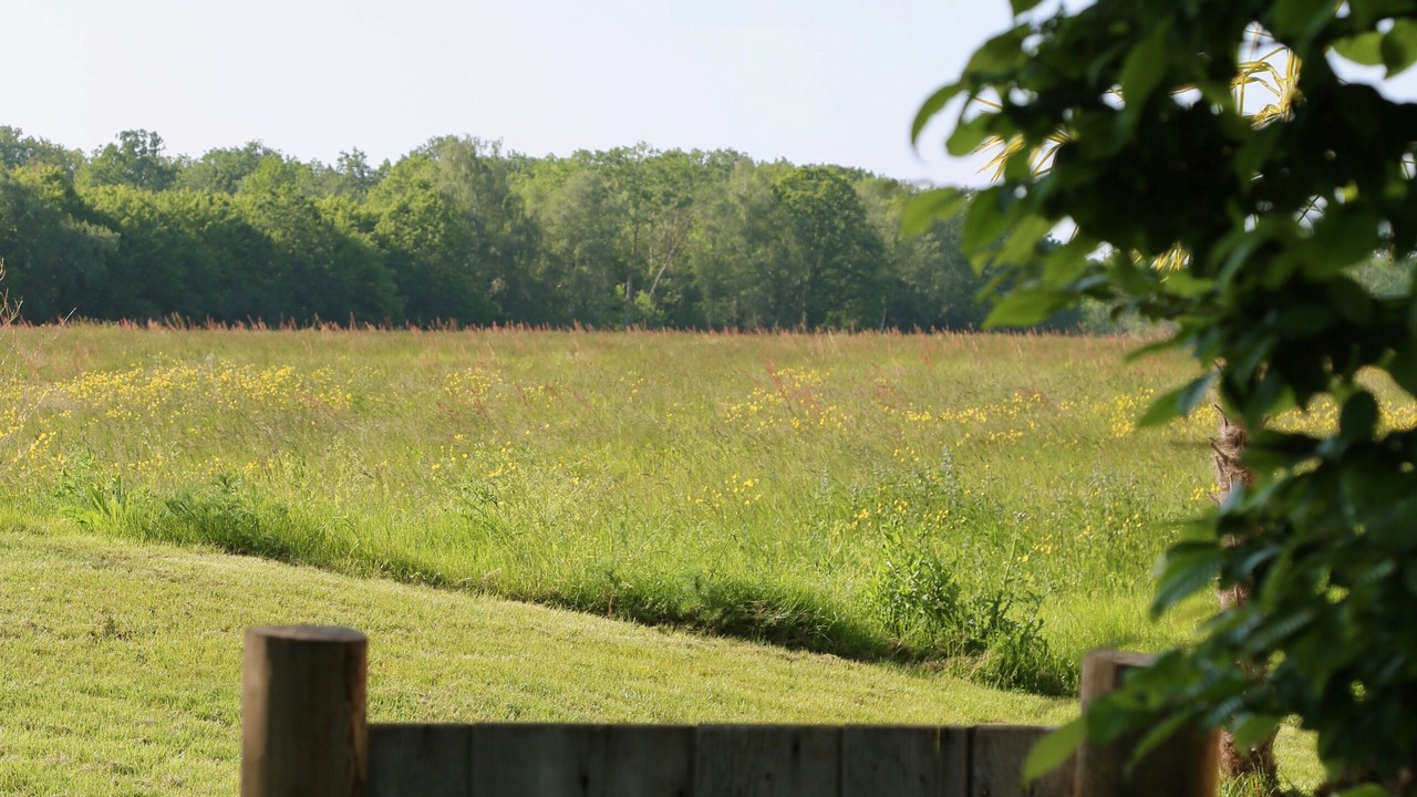 Photo of Outdoor in Poigny la Foret
