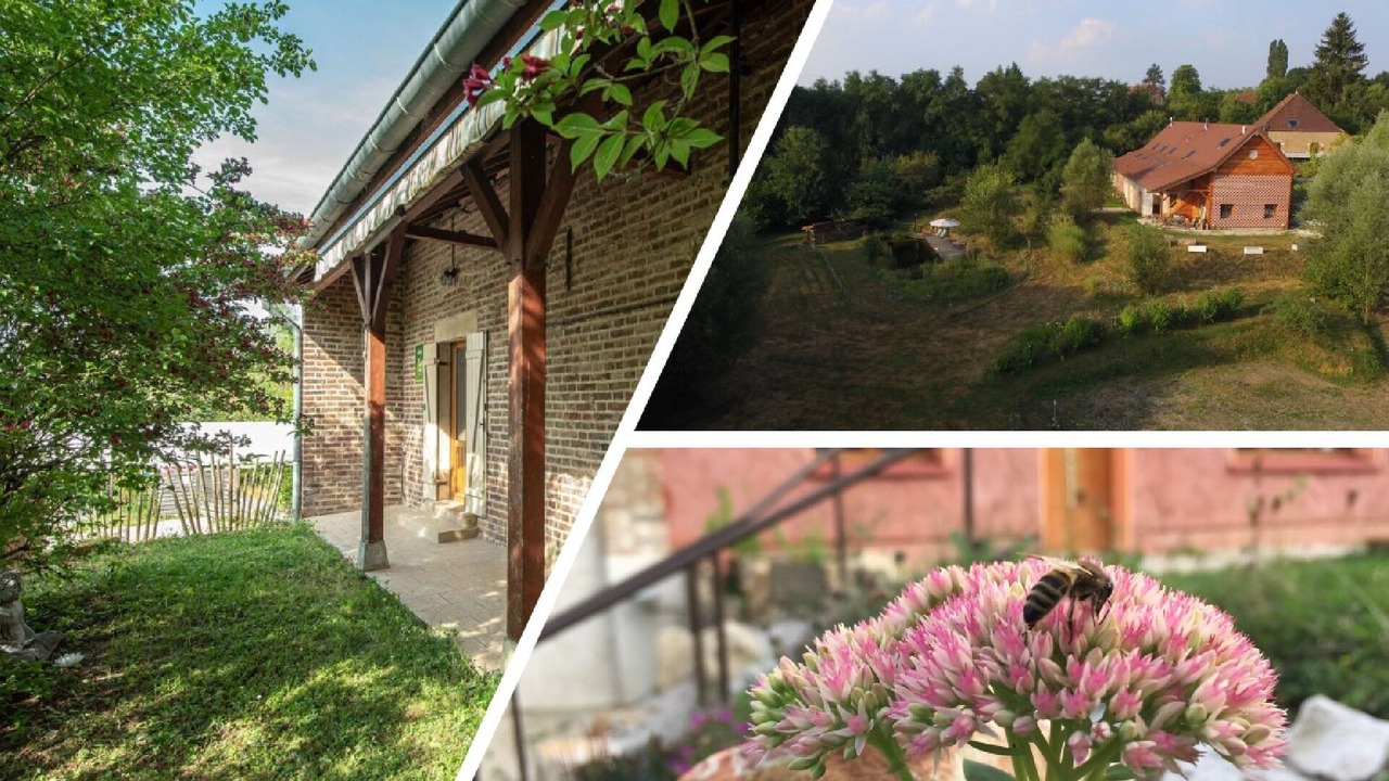 Photo of Outdoor in Saint Usuge
