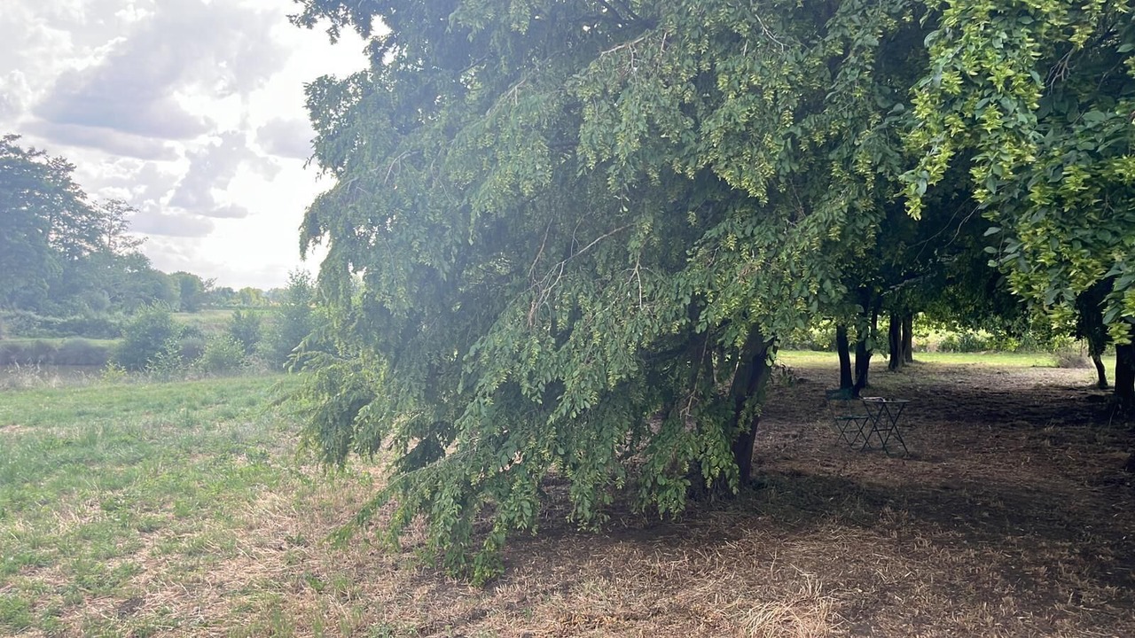 Photo of Others in Rouperroux-le-Coquet