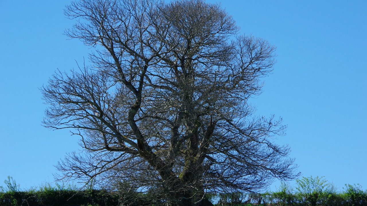 Photo of Outdoor in Moulins Engilbert