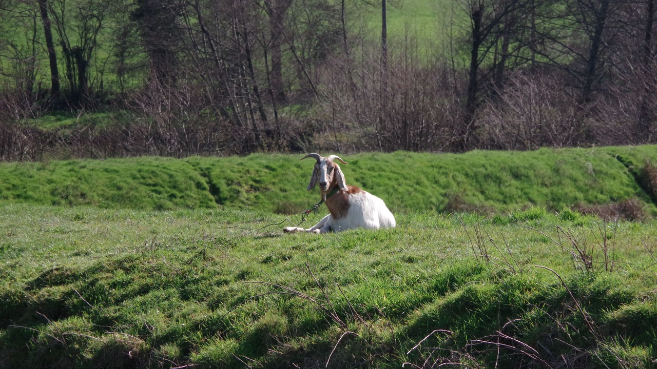 Photo of Outdoor in Moulins Engilbert