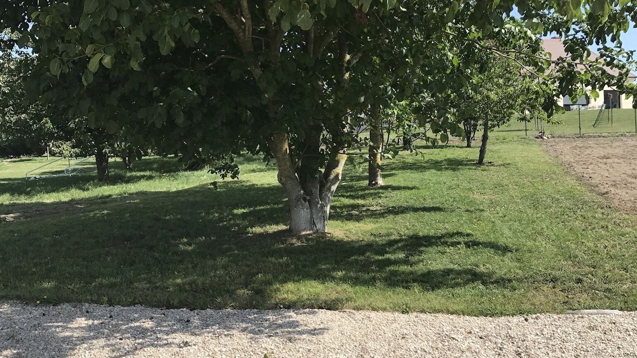 Photo of Outdoor in Loisy-en-Brie