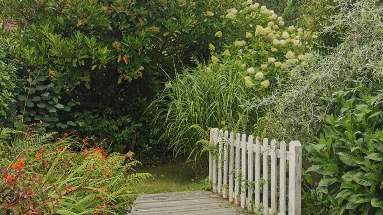 Photo of Outdoor in Sainte-Croix-Hague