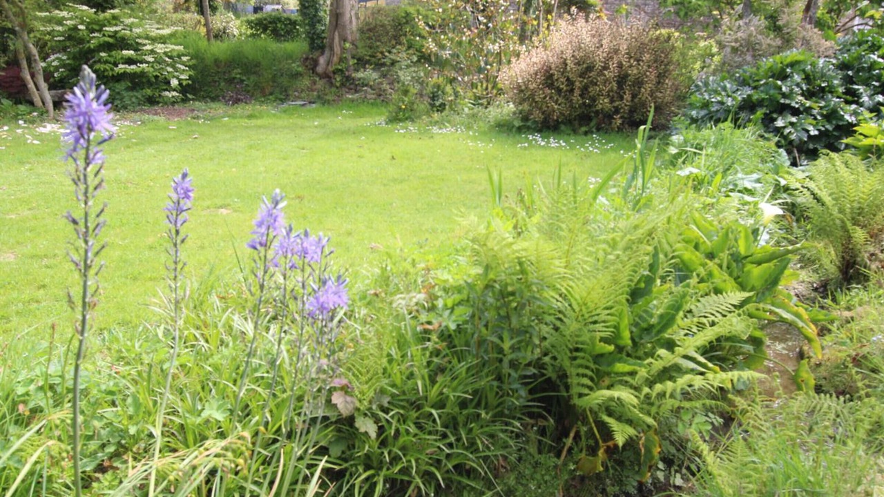 Photo of Outdoor in Sainte-Croix-Hague