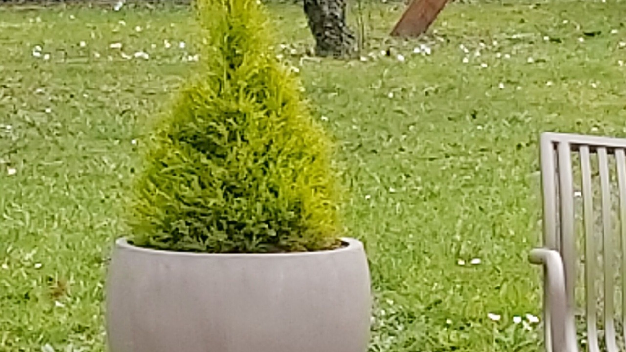 Photo of Outdoor in Chateau-Thierry