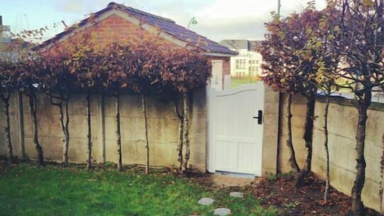 Photo of Outdoor in Saint-Laurent-Blangy