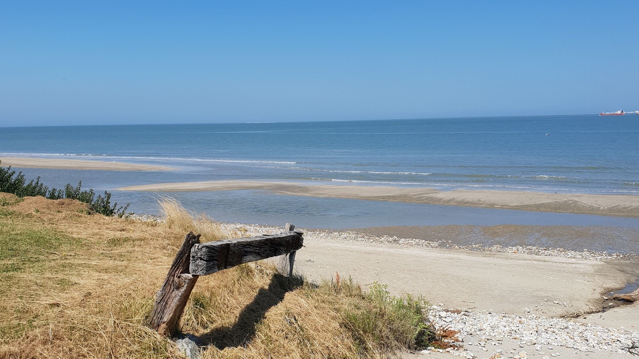 Photo of Others in Honfleur