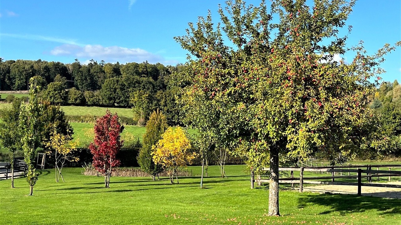 Photo of Outdoor in Hermival-les-Vaux