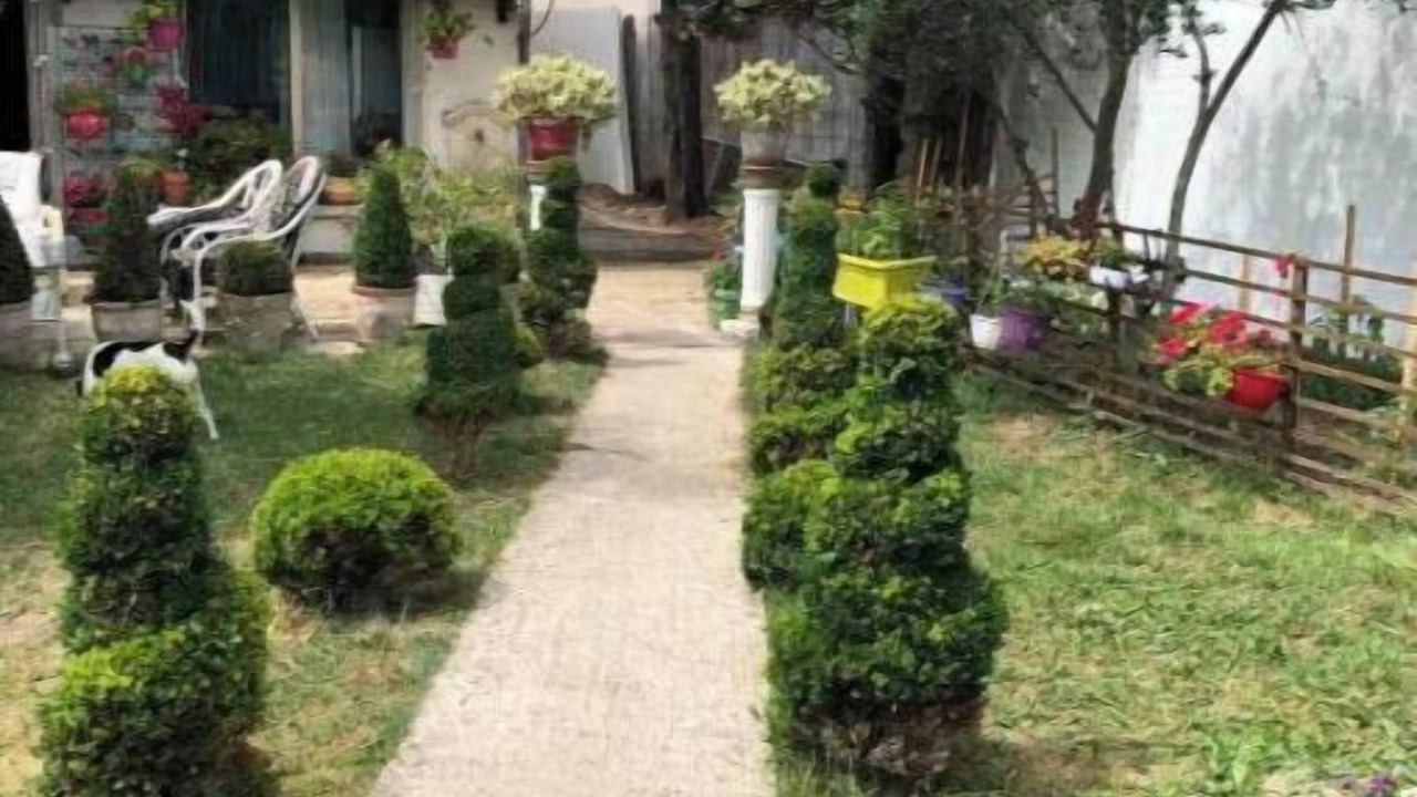 Photo of Outdoor in Pierrefitte-sur-Seine