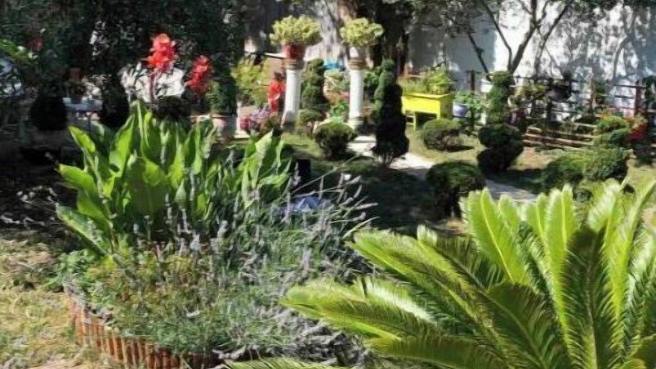Photo of Outdoor in Pierrefitte-sur-Seine