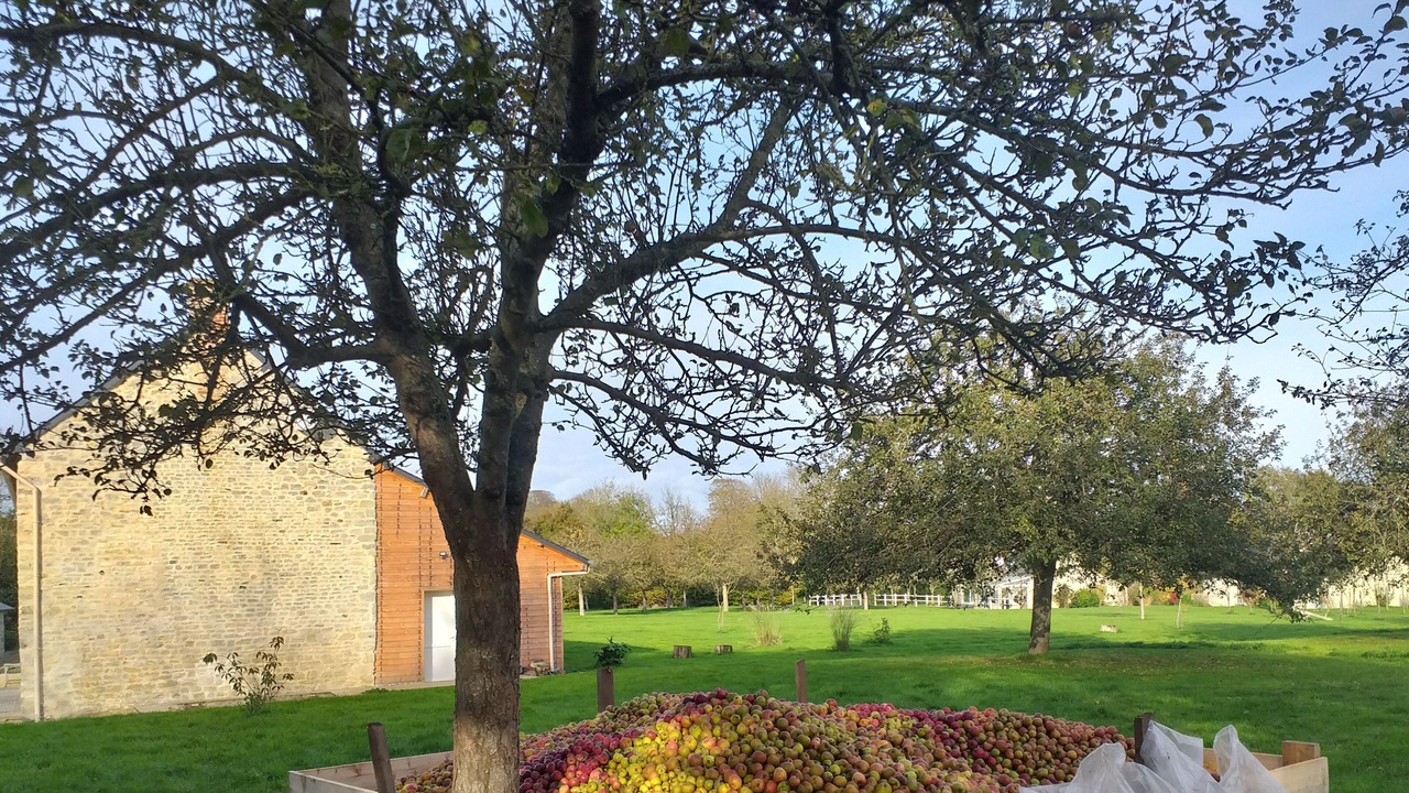 Photo of Outdoor in Colleville-sur-Mer