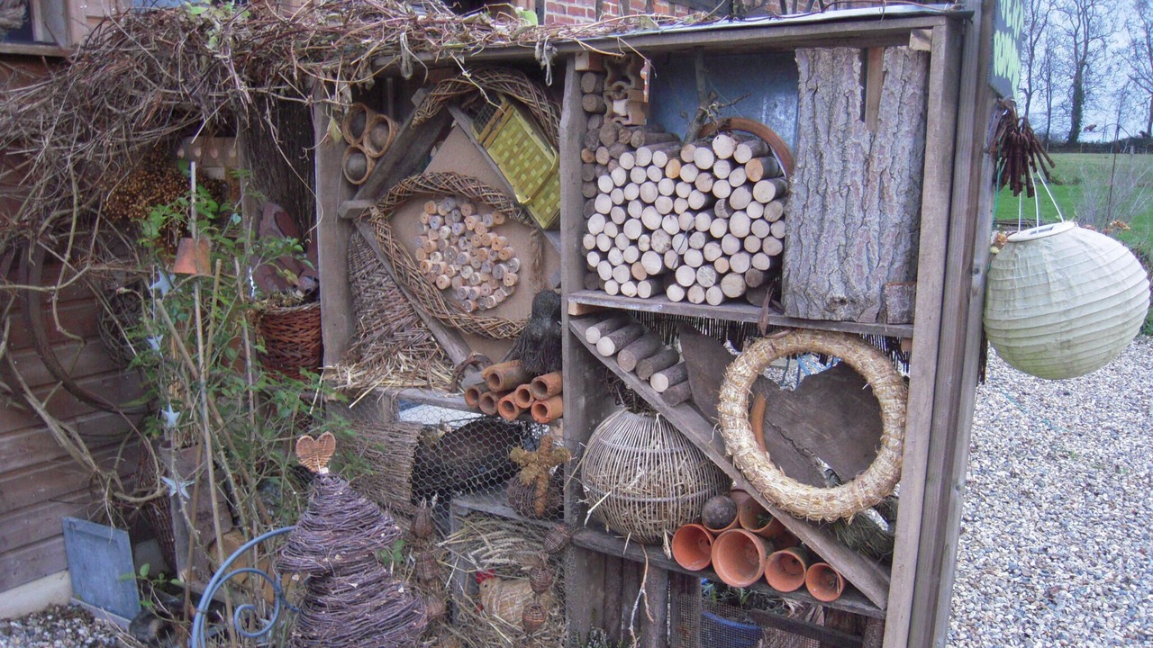 Photo of Outdoor in Beauval-en-Caux