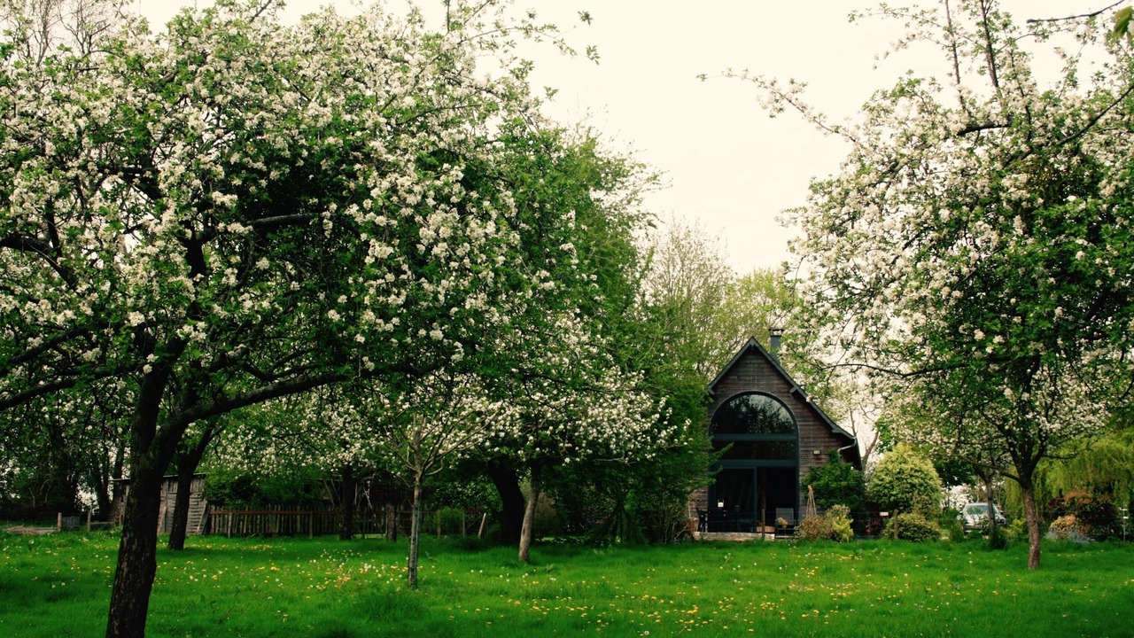 Photo of Outdoor in Beauval-en-Caux