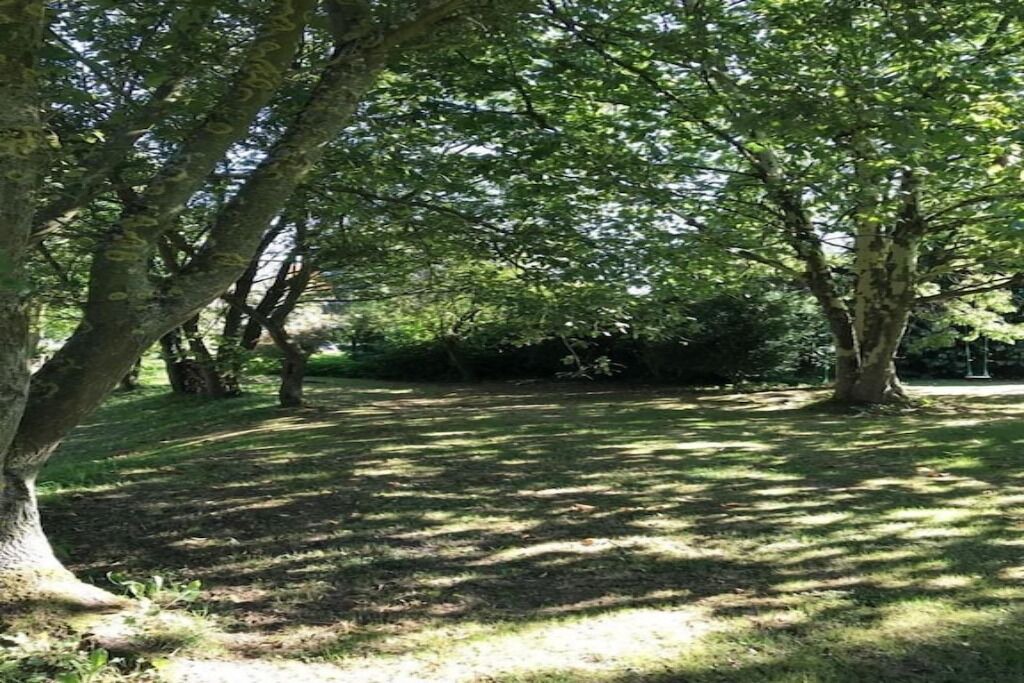 Photo of Outdoor in Saint-Saens