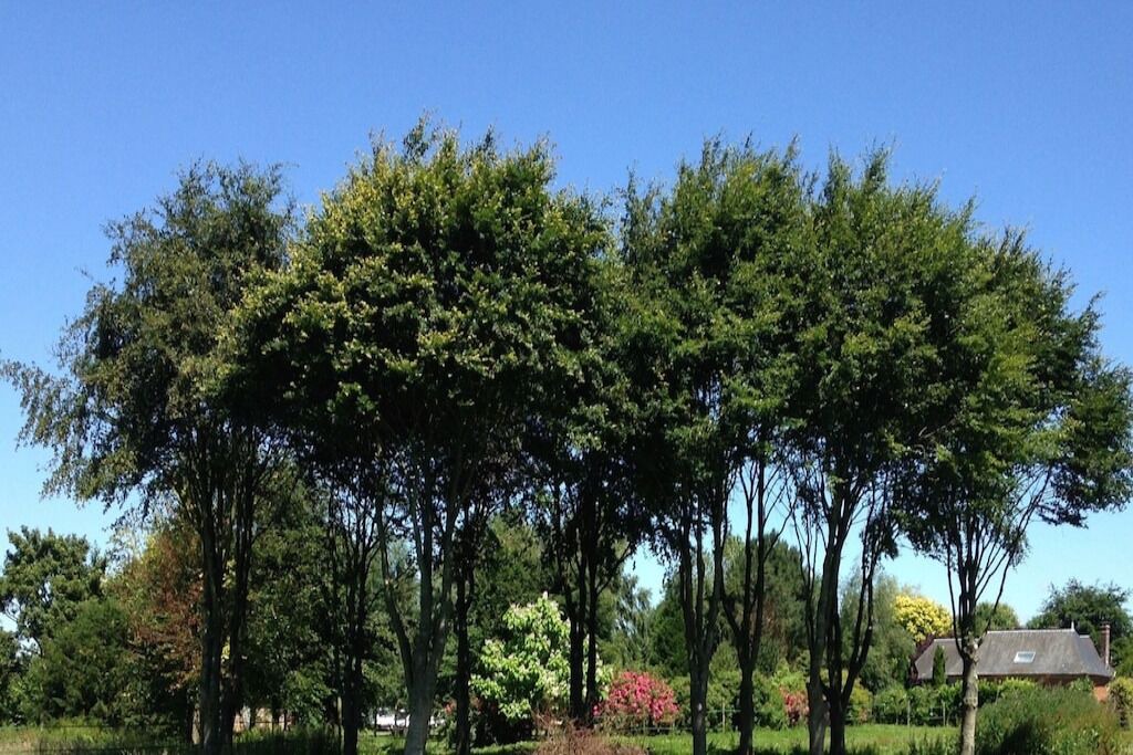 Photo of Outdoor in Saint-Saens