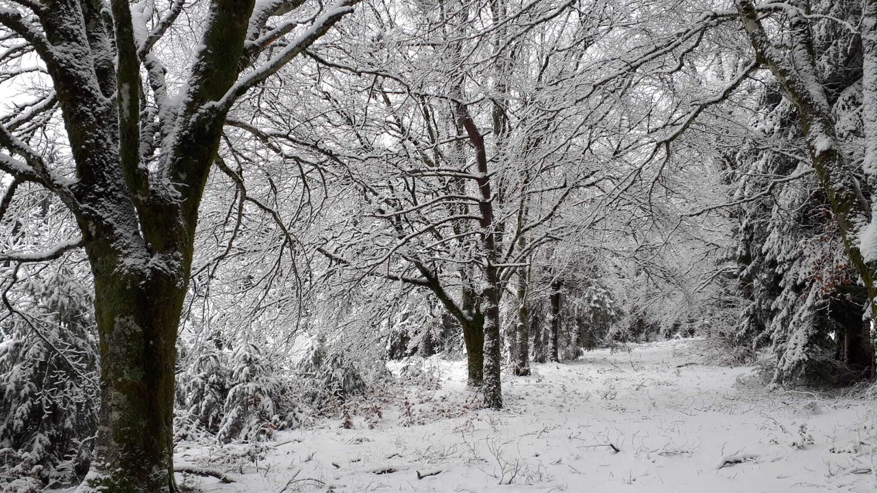 Photo of Others in Beaumont-du-Lac